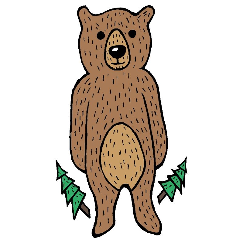 Funny & Cute Bear in the Forest