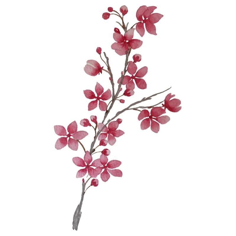 Cherry Branch