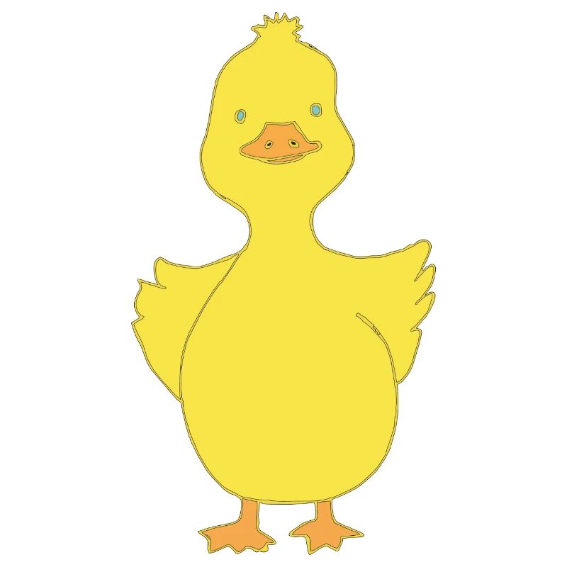 Duck funny