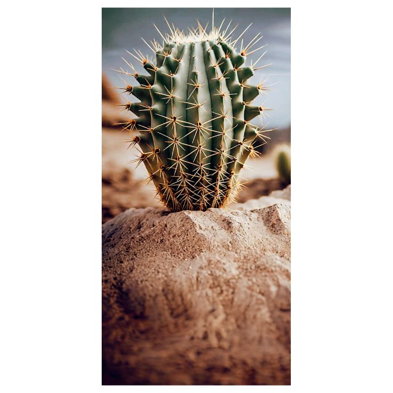Cactus dans un désert de sable Jeu de mots