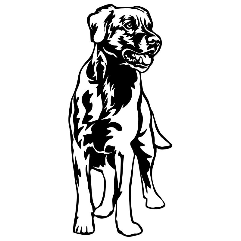 Labrador