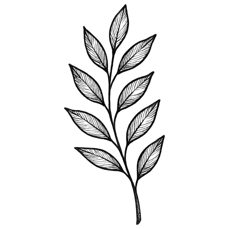 Black Leaves Gloss Pattern