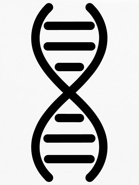 DNA-DNA-Doppelhelix