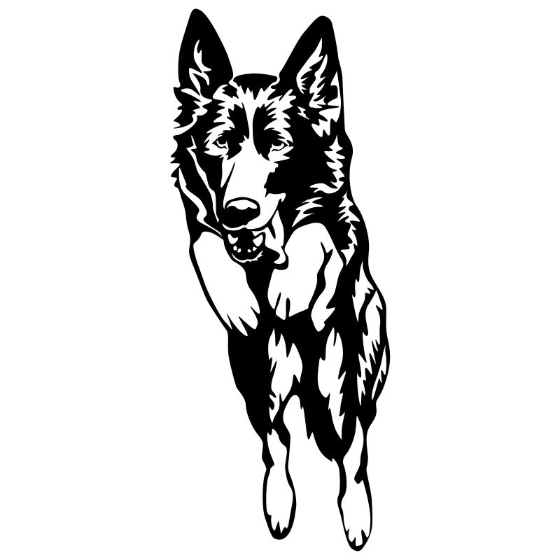 Deutscher Schäferhund