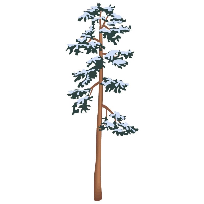 tall tree with snow