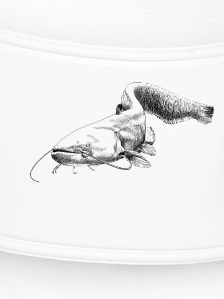 catfish