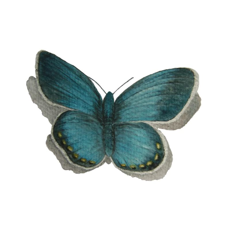 Schmetterling Bläuling