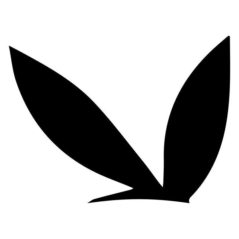 Sexy Bunny Ohren