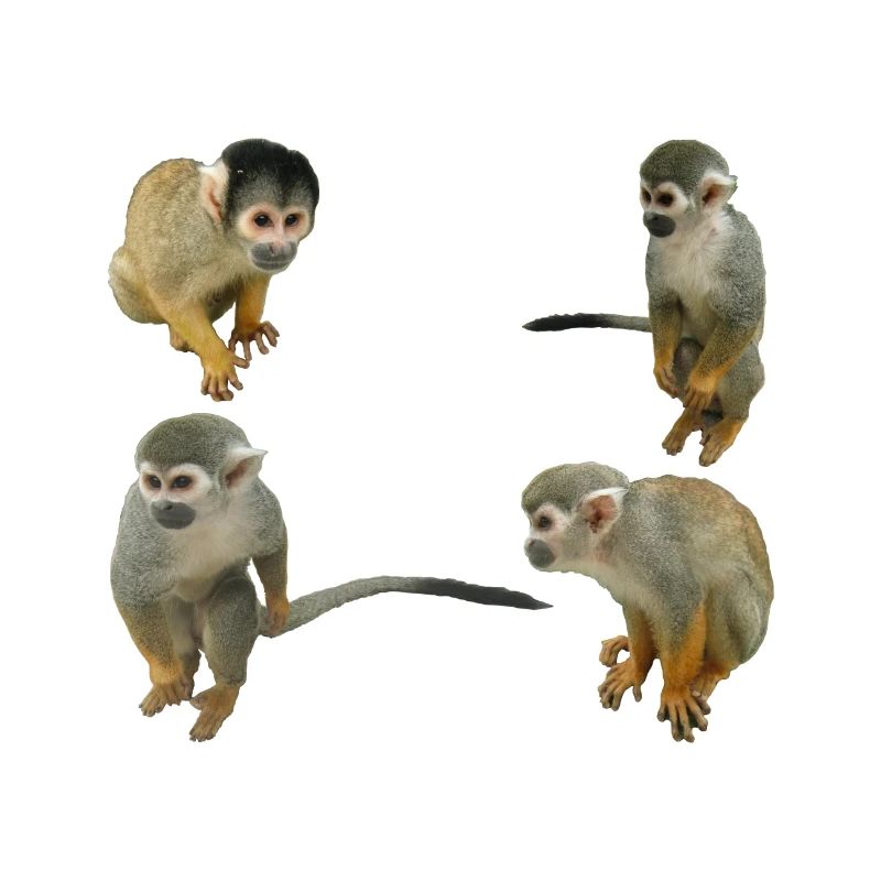 Monkeys