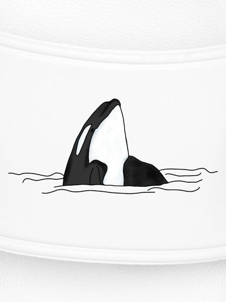 Orca