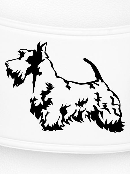 Scottish Terrier