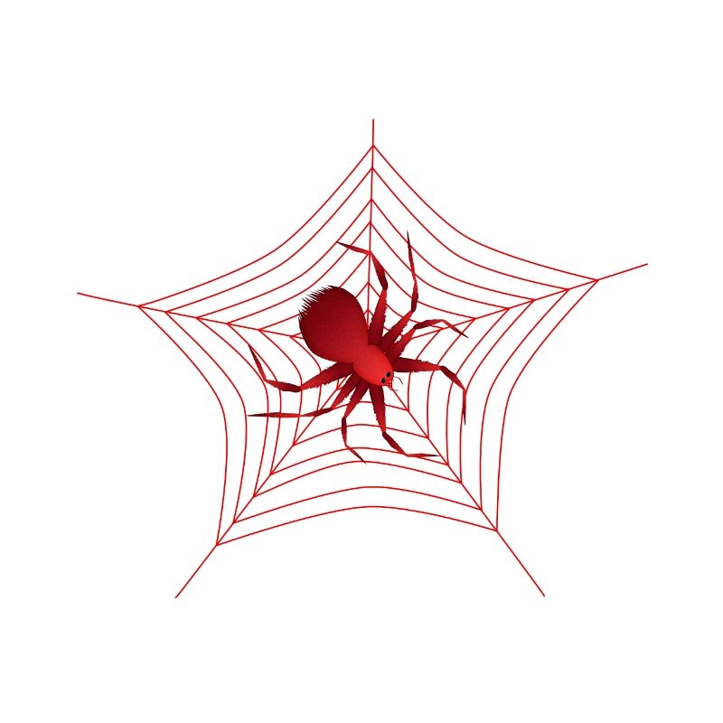 Spider in spider web red spider large spider
