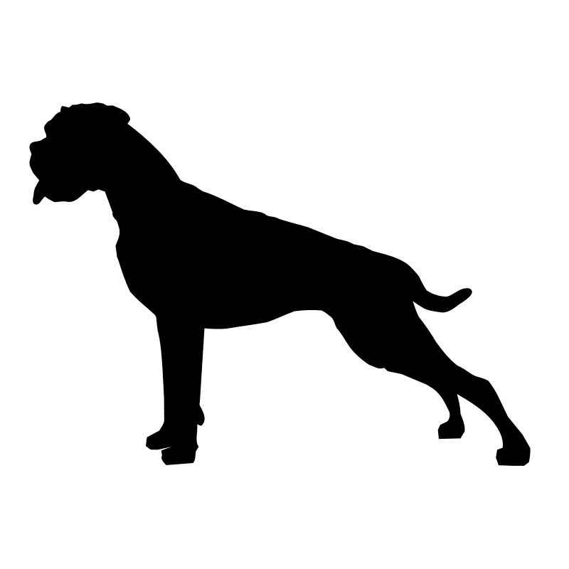 Boxer stand silhouette
