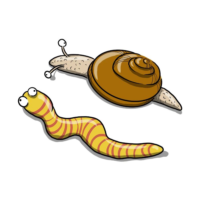 Snail and caterpillar