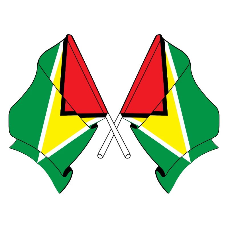 Deux drapeaux croisés de la Guyane