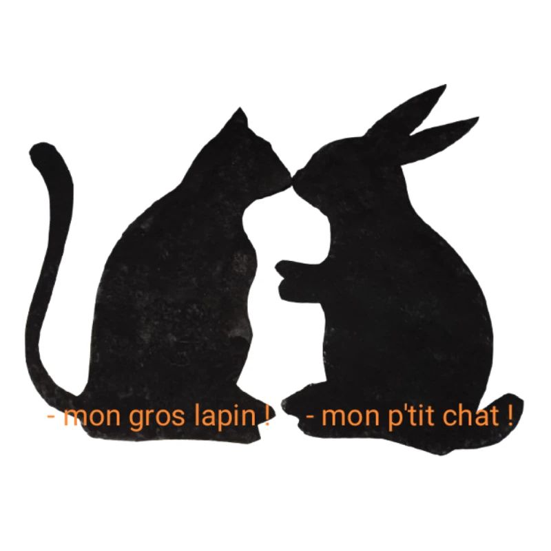 Cat and rabbit friends, romantic relationship