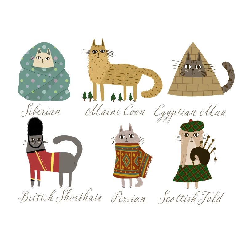 Cat breeds