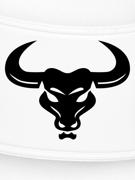 bull