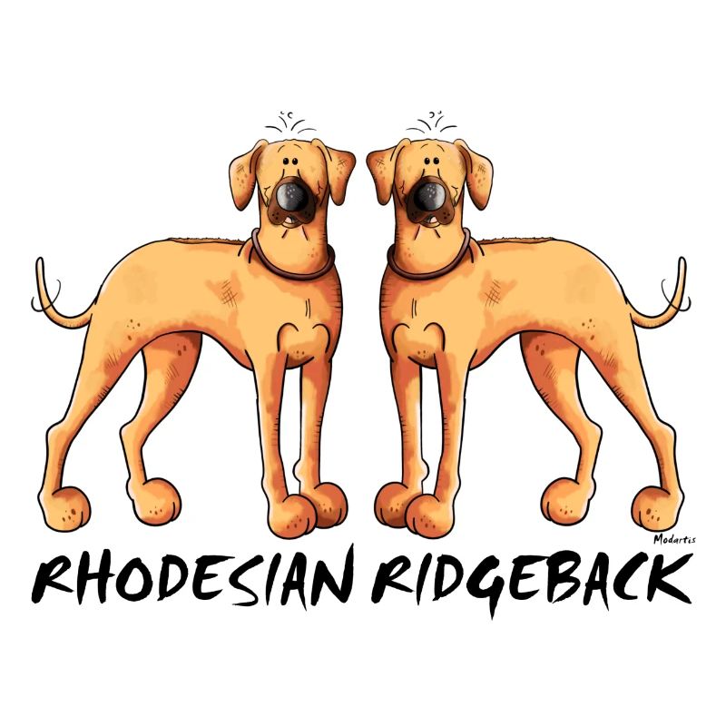 Two Rhodesian Ridgeback