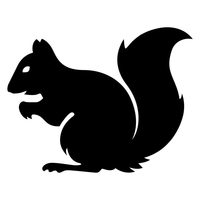 Eichhörnchen