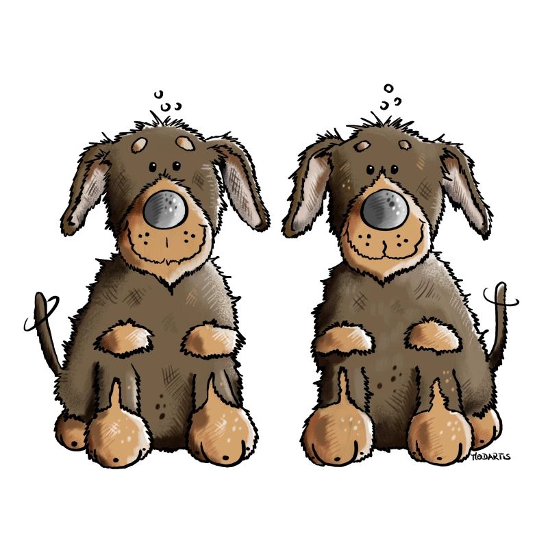 Two Dachshunds