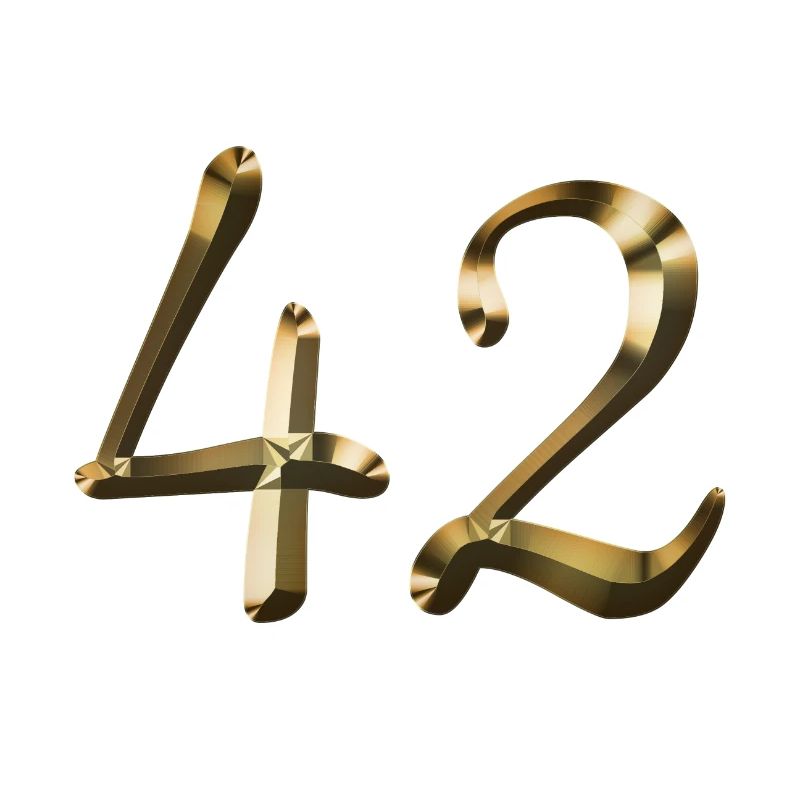 42 ans 42 ans or 42e anniversaire cadeau