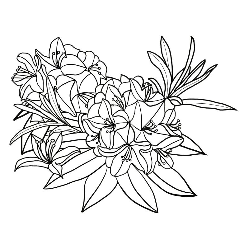 Rhododendron | Floraison | Nature | Idée cadeau
