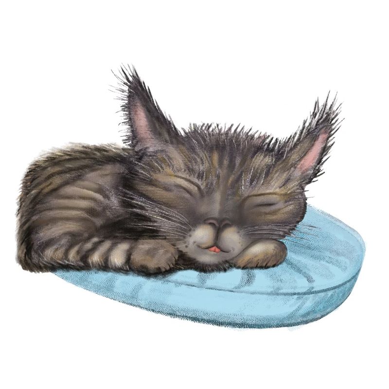 Chat endormi