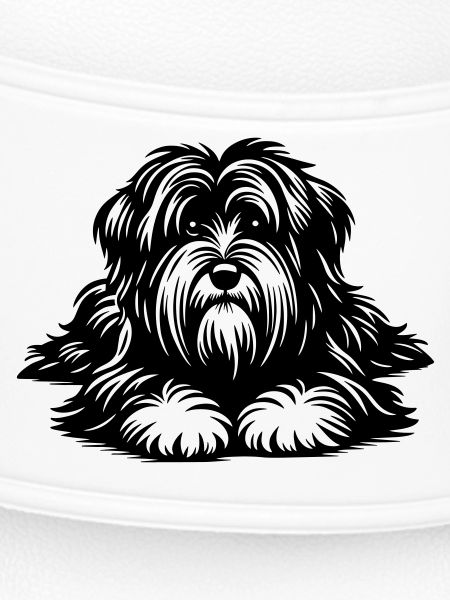 Tibet Terrier