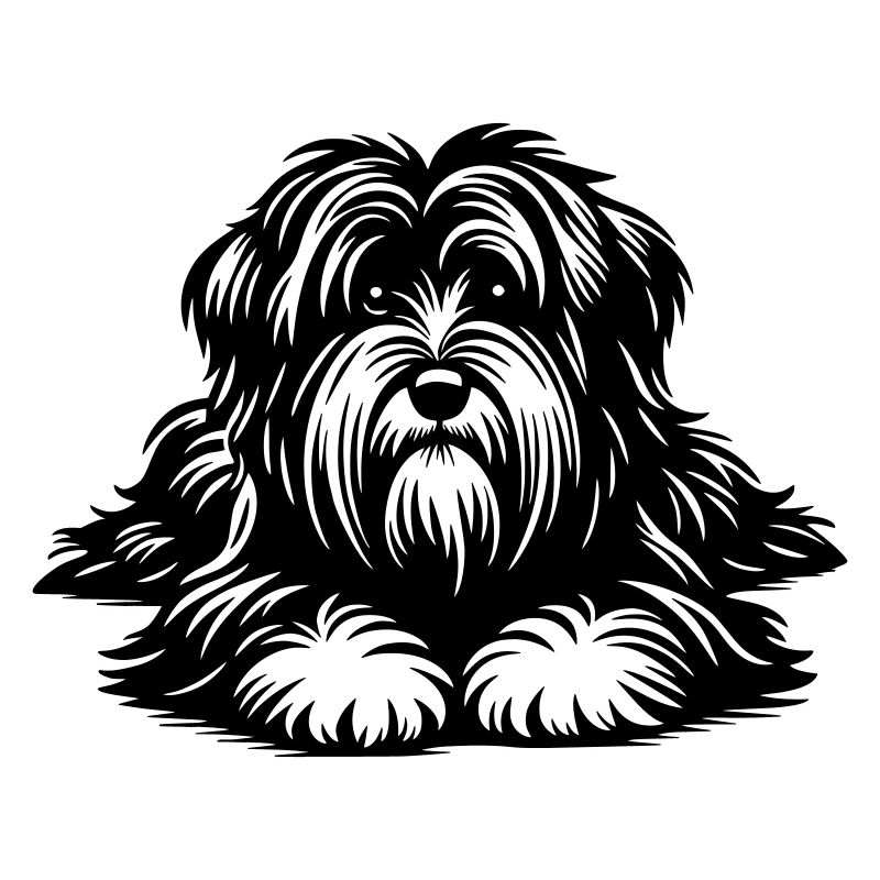 Tibet Terrier
