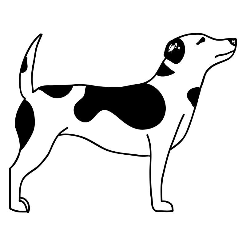 Hund