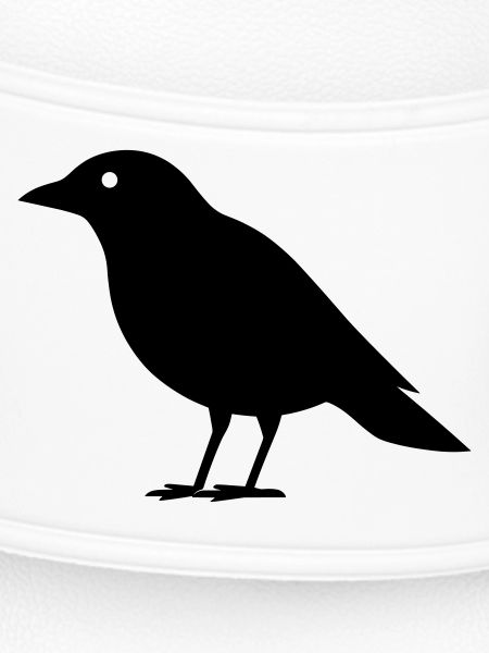 crow