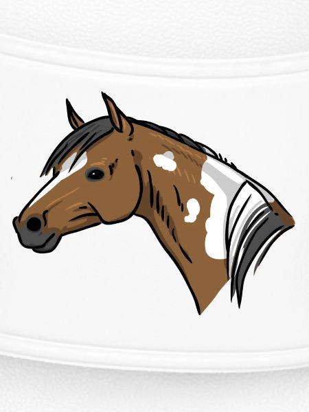 Horse Portrait