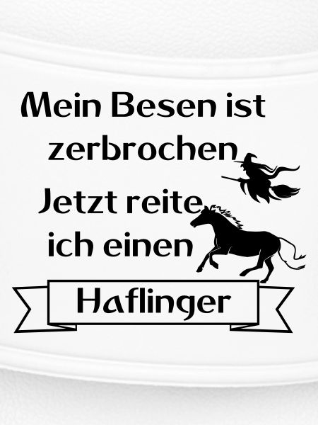 Mein Besen ist zerbrochen - Haflinger