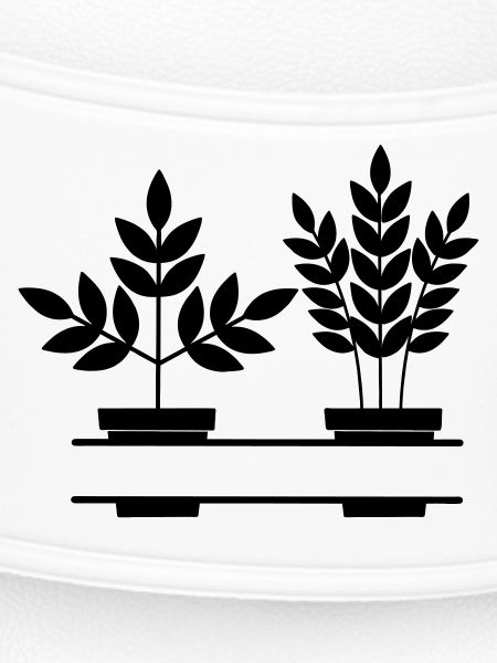 Plants banner