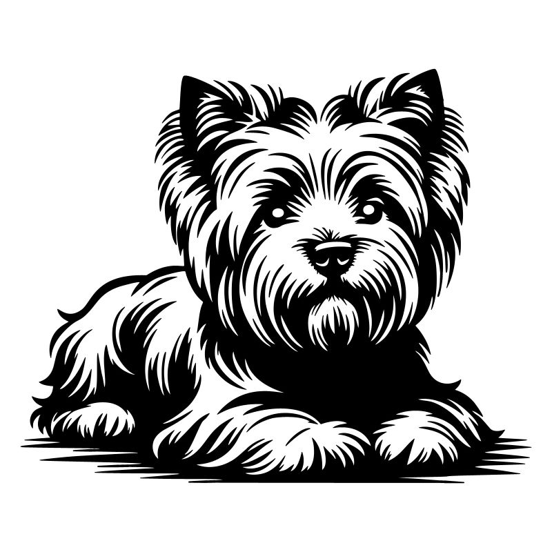 West Highland Terrier