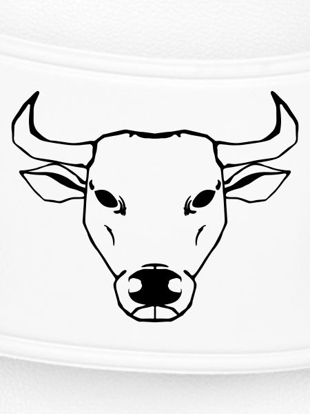 Ox Illustration