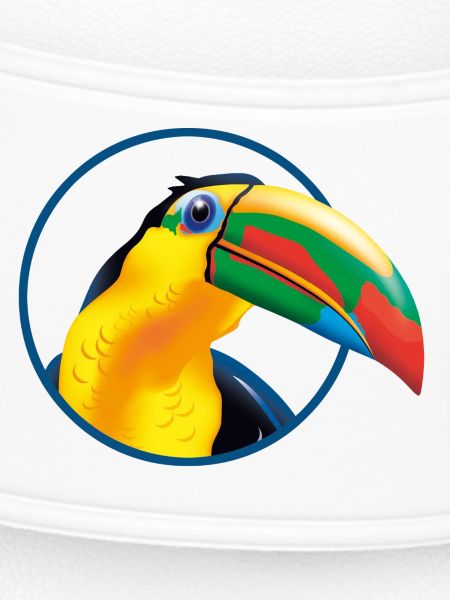 Tropischer Toucan Farbexplosion