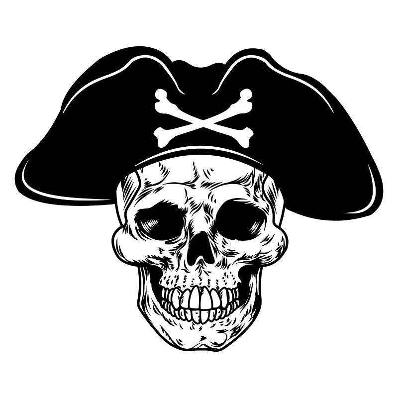 Skull pirate hat