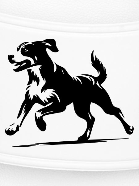Bouvier de l’Entlebuch