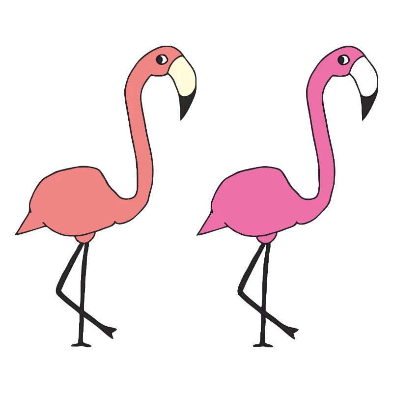 flamingo freunde