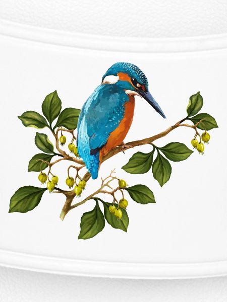 Bunter Vogel