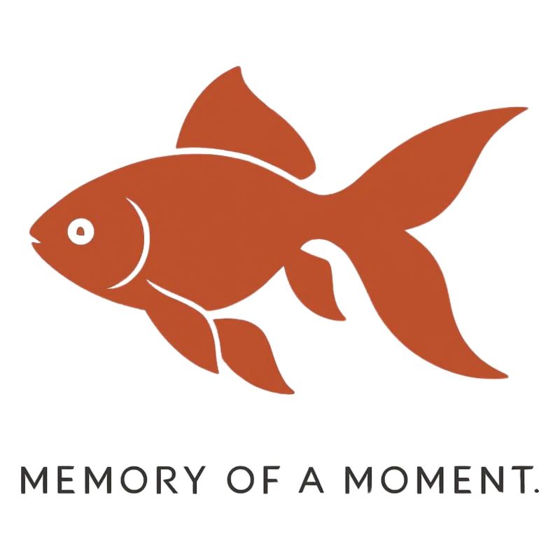 MEMOIRE D'UN INSTANT