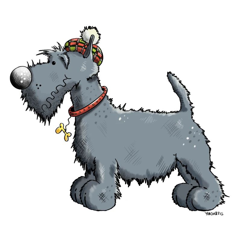 Terrier écossais - Scottish Terrier