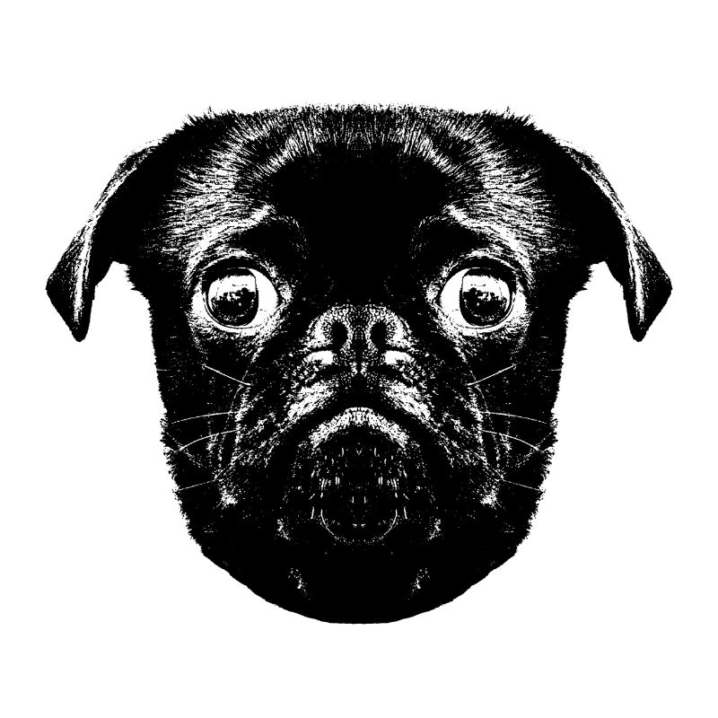 Otto's Mops hopst