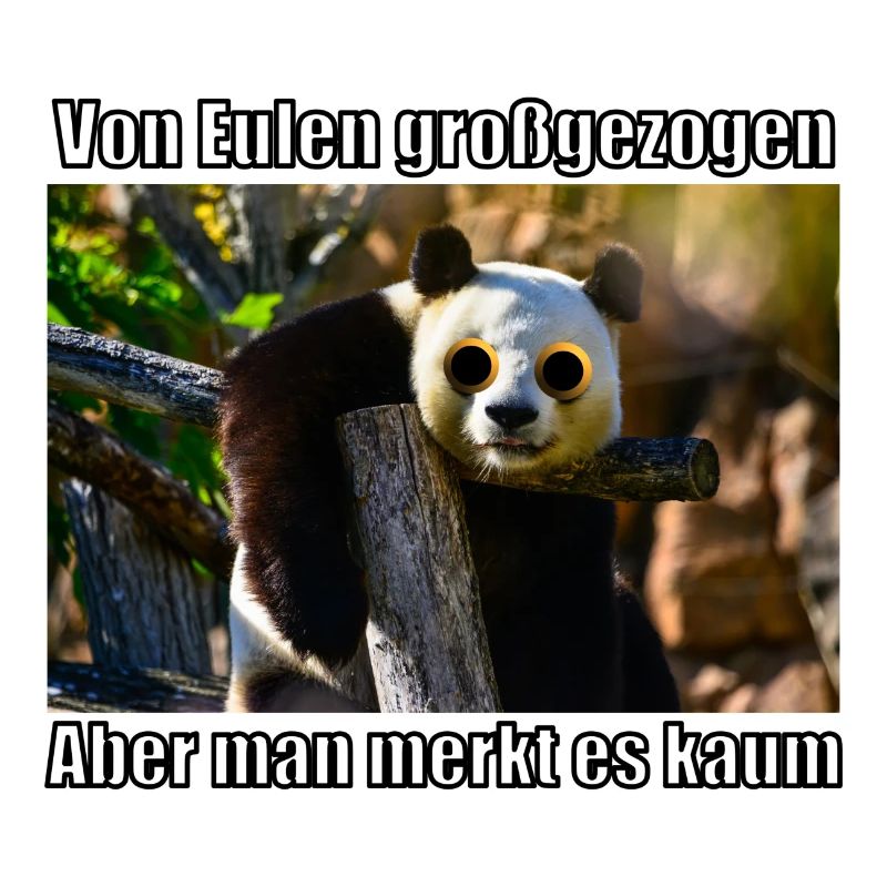 Panda Eule Pandabär Süß Lustig Wildnis Geschenk Ti