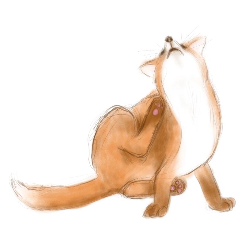 Scratching fox cute animal drawing
