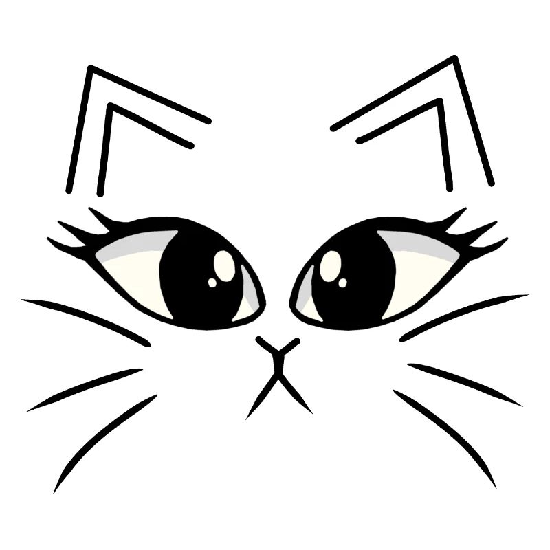 Kitten Cat Cats