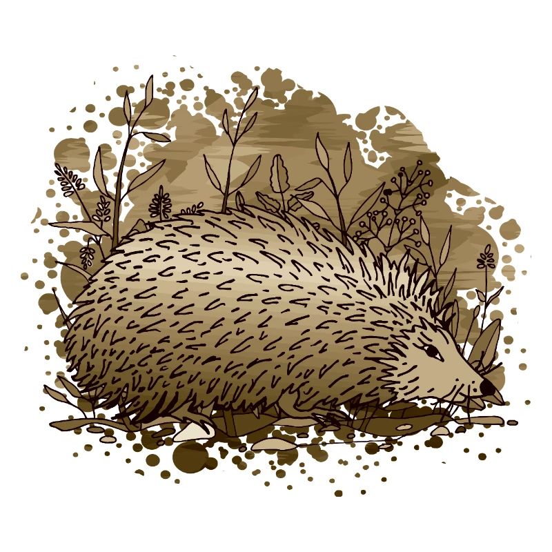 Igel