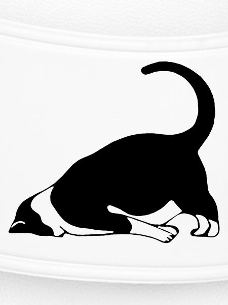 Sleeping cat